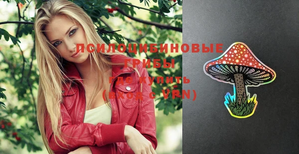 твердый Каменногорск