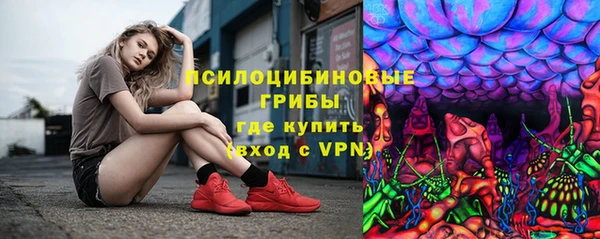 героин Каменка